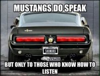 0054C739-3638-45DC-9571-BAFE0A4D6DAA.jpeg