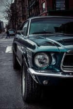 3017FD54-EF81-43E4-9B2F-7200E664B67D.jpeg