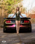 97BDDB60-BFBE-4815-95C2-5659F0E1921F.jpeg
