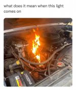 F76B4182-0F9E-445C-8F3D-7817EC8EEE75.jpeg