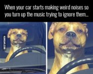 when-your-car-starts-making-weird-noises.jpg