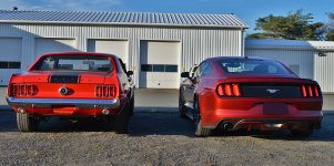 TailLight2.jpg