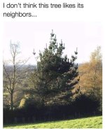 FB_IMG_1638205789800.jpg