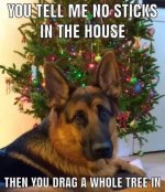 76B64000-E02C-4FAD-BFDE-E547D3AD99AC.jpeg