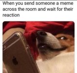 E1D6E037-06F1-409A-B1CD-D917251C0D32.jpeg