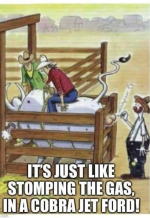 1639221019001.png