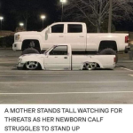 1640672811746.png