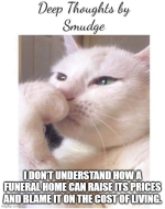 1640944300108.png