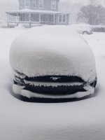 78CAED0C-FFBC-4C74-BB59-A0A3279DE543.jpeg