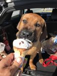 diesels 1st ice cream.jpg