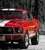 1FFDA3F2-E538-43DC-84C8-3EE4B81A95DE.jpeg