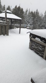 PXL_20220112_195623940.jpg