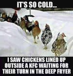 1642362467584.png