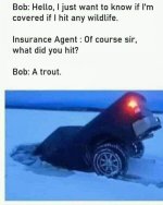 53E1B68B-110A-44B1-B145-2F5922B6E049.jpeg