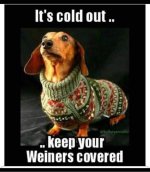 FB_IMG_1642879665319.jpg