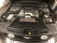 3CB23E1B-371F-4943-81E4-D0CCCD65350E.jpeg