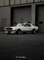 8932EB16-AEFE-409B-95A5-A7ABF0A3C6B2.jpeg