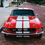 38520283-C907-4294-8B3B-3B26ED8373D2.jpeg