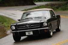 img_3599c.jpg