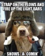 1D2608CD-0A7D-4837-9A4B-41FD9D839B7F.jpeg