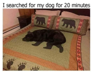 1643442773876.png