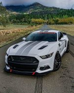 F4A461CC-7177-4C4E-A937-387BA2CC41AF.jpeg