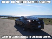 64771E60-398C-4B71-9BE8-0568CCA26415.jpeg