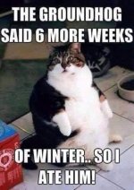 FB_IMG_1644010810509.jpg