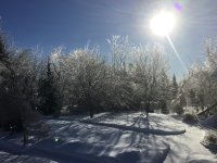 67174240-B617-405B-999B-F4AAACE4213B.jpeg