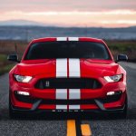 9B471732-A791-42D5-AB1F-6A1E66BB45F4.jpeg