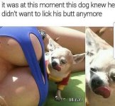78245B0F-5436-439D-A918-1F7EE78B003B.jpeg