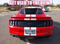 49BB601B-4CE9-4F0C-85D7-FB4248A0CC6E.jpeg