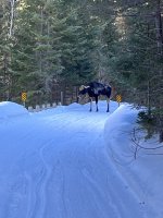 IMG_3411[1].JPG