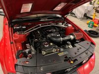 B36429C1-0F03-46AF-A023-4AD8FFEB7879.jpeg