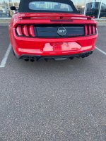 tail.jpg