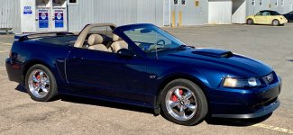 Mustang.jpg