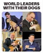 1654288447181.png