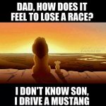 1767331442-324417fbb5ae0b3c71f25179330d333b.jpg