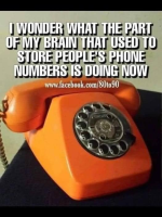 1655165733099.png
