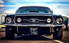 8862D575-9C42-44D3-8ED2-68D2FFCAA1F4.jpeg