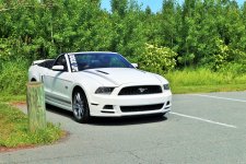 IMG_1586.JPG
