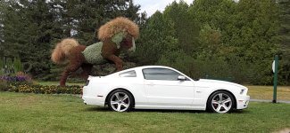7 white 5.0.jpg