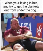 1658071936585.png