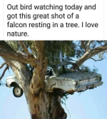 1660290223356.png