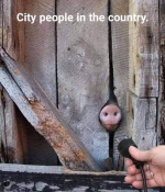 1661729979308.png