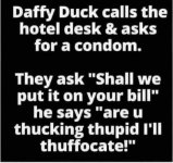 44C6CD43-67FC-44D2-A602-6BF9230C49A0.jpeg