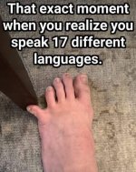 C50A8D86-F0DB-415B-9B9E-3E61EBFF8847.jpeg