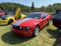 29105ED4-DB74-4498-BE7F-E53EED4C7927.jpeg