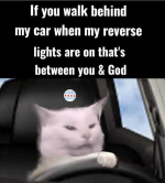 1663105954741.png
