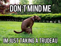 9DD09638-B626-4AF5-A768-FE094C0B9A1F.png